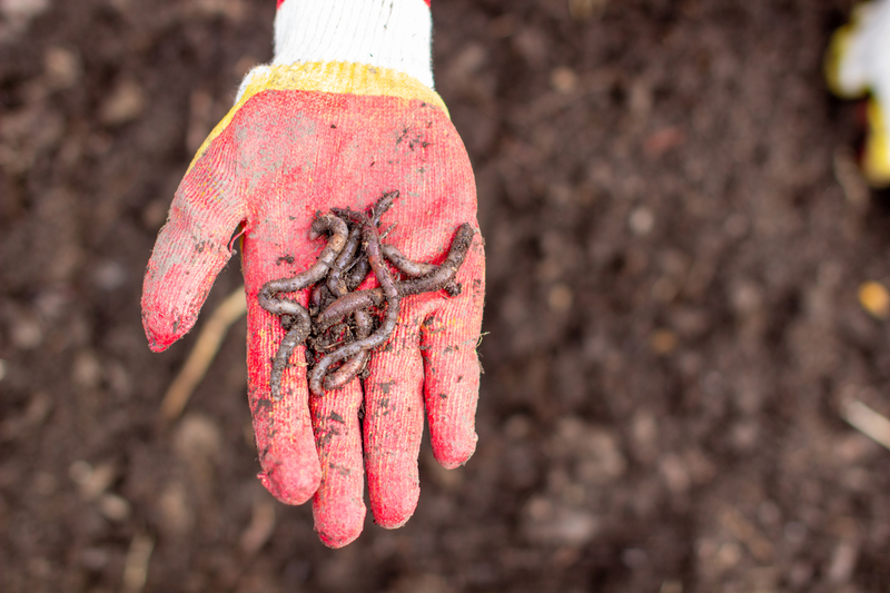 digging-in-the-dirt-4-god-cherishes-you